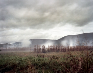 Gun smoke boils up i9n McLemore's Cove during a reenactment of the Battle of Chickamauga, Ga 2013.